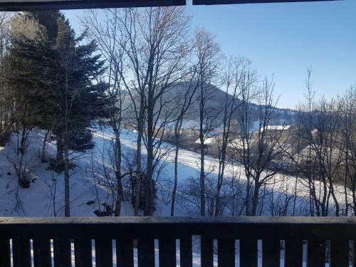 Apartamento Ferienwohnung Im Kuhlen Allg�u