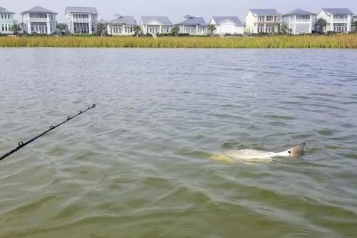 Foxtail Poolside Escape Reserve At St Charles Bay