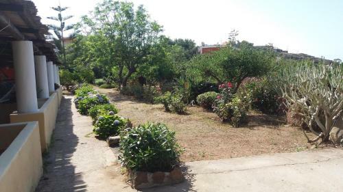 Hostal Villa La Rosa