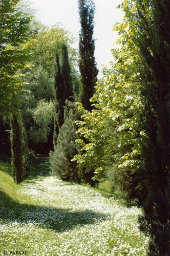 Bed & Breakfast La Vecchia Quercia