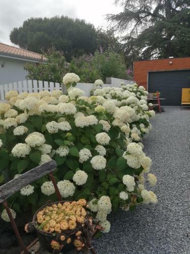 Apartamento G�te Cap � Cap