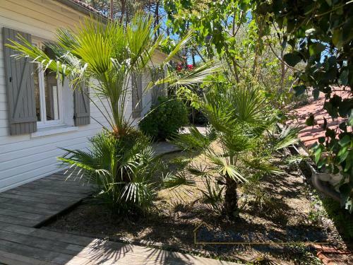 Villa Mamigo - Maison � 1.8 Km de L'oc�an