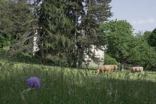 Hostal Domaine Du Tr�s-haut