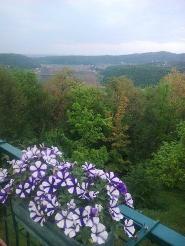 B&B Il Suono Del Bosco