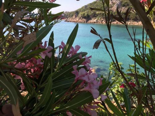 Hotel Cala Lunga