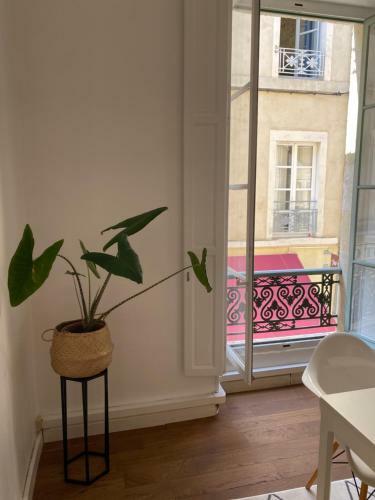 Apartamento N�mes: Appartement de Charme