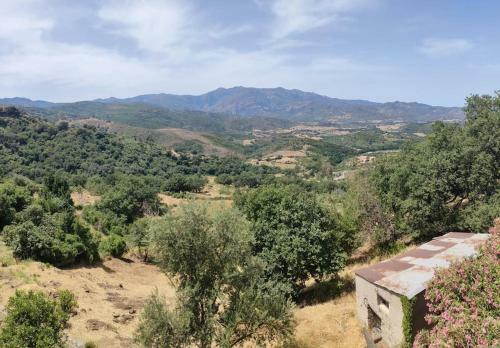 Apartamento Vacances Pr�s de Saint Florent