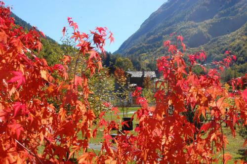 Apartamento Case Gran Paradiso Rhemes Saint Georges