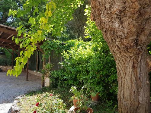 Agroturismo Agriturismo Il Solaio