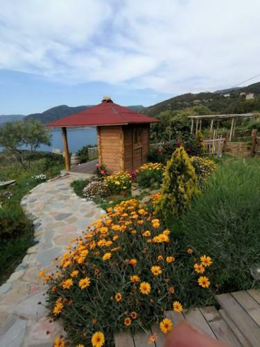Villa S�jour D�tox Dans Un Site Insolite