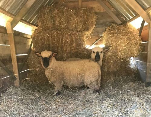 G�te La Petite Ferme Vivri�re