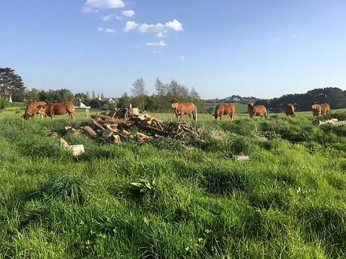 Vue Mer Et Campagne / C�te de T�r�nez
