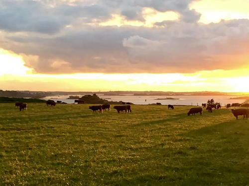 Vue Mer Et Campagne / C�te de T�r�nez