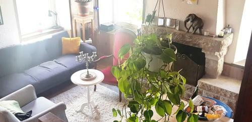 Vue Mer Et Campagne / C�te de T�r�nez