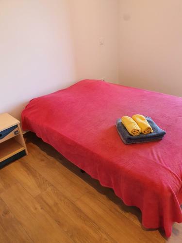 English Club In Corsica B&B