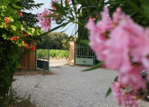 Hostal Maison D�h�tes Le Mas Des Vignes