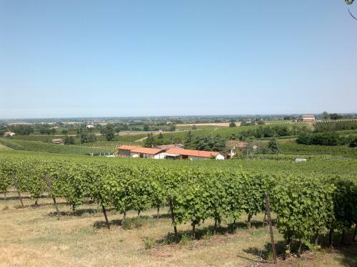 Agroturismo Agriturismo E Cantina La Sabbiona
