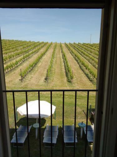 Agroturismo Agriturismo E Cantina La Sabbiona