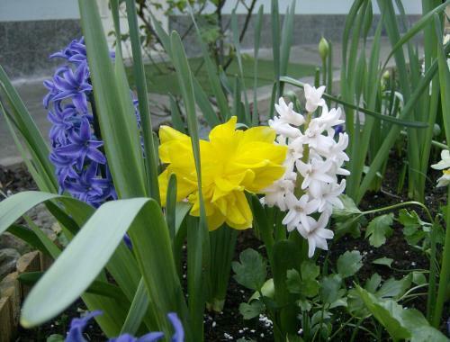 Bed & Breakfast Il Giardino Delle Farfalle