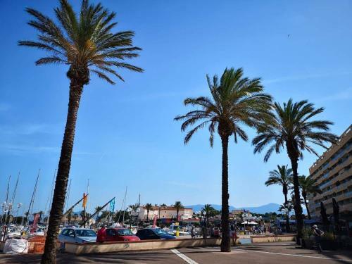 Apartamento Studio Climatis� Centre Port. Plage 200m (103)