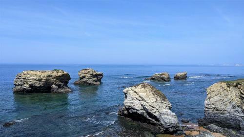 Apartamento Studio Terrasse En Bord de Mer Avec Garage