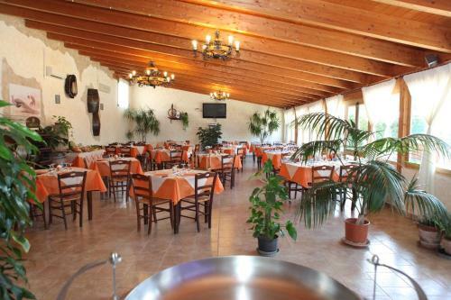 Agroturismo Agriturismo Il Pavone