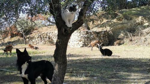 Jo�lle & J�r�me Vous Accueille Dans Le Sud Luberon