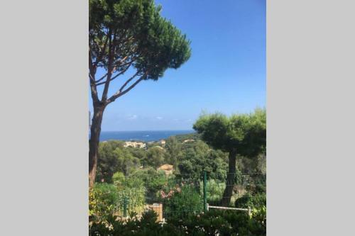 Apartamento Appart F2 Cap Esterel