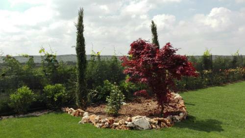Agroturismo Agriturismo Pigno