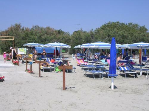 Camping Ancora