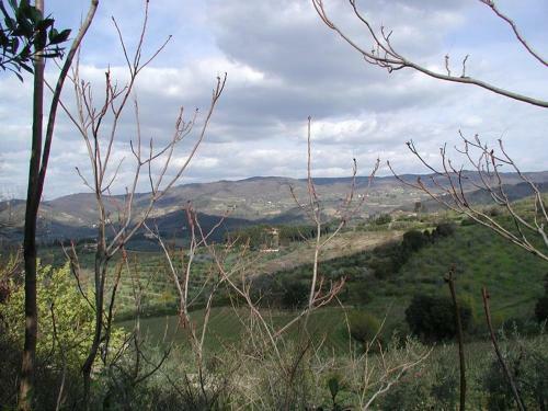 Apartamento Agriturismo Podere La Casa