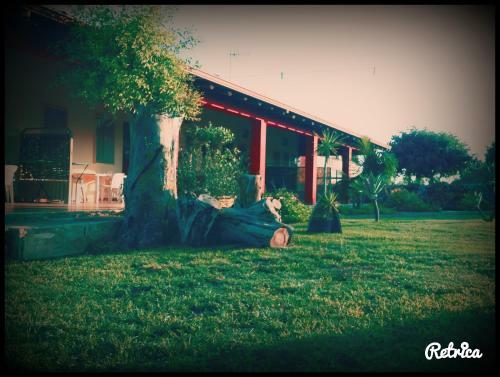 Agroturismo Agriturismo Il Ranch