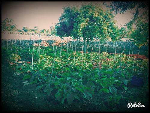 Agroturismo Agriturismo Il Ranch