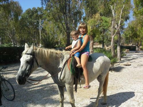 Agroturismo Agriturismo Il Ranch