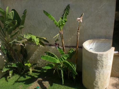 Holiday Home Villa Solare