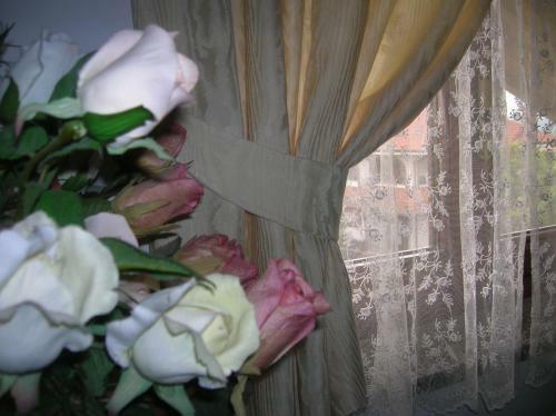 B&B Anna