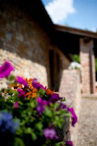 Agroturismo Fattoria Primavera