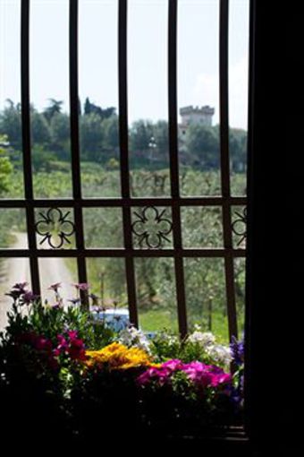 Agroturismo Fattoria Primavera
