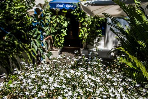 Hotel Meson Feliz
