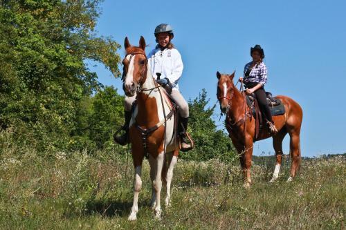 Bed & Breakfast Paglia E Fieno