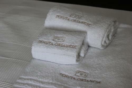 Hotel Tenuta Orsanese