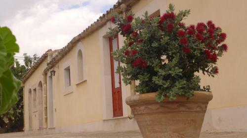 Bed & Breakfast La Suma Sumalia