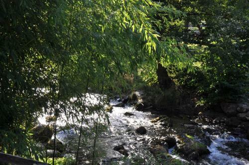 Camping Jardin La Vie En Vert En Ari�ge