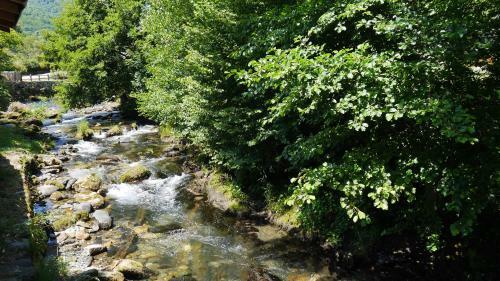 Camping Jardin La Vie En Vert En Ari�ge