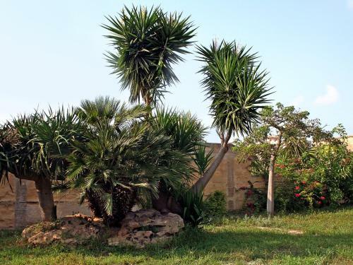 Holiday Home Sammartano Marsala