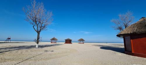 Apartamento Adamar Plaja Vega Mamaia
