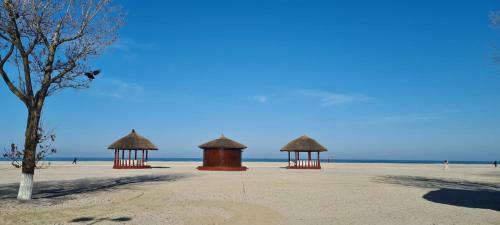 Apartamento Adamar Plaja Vega Mamaia