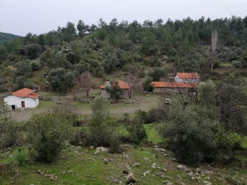 Hotel ?ztuzu Homes