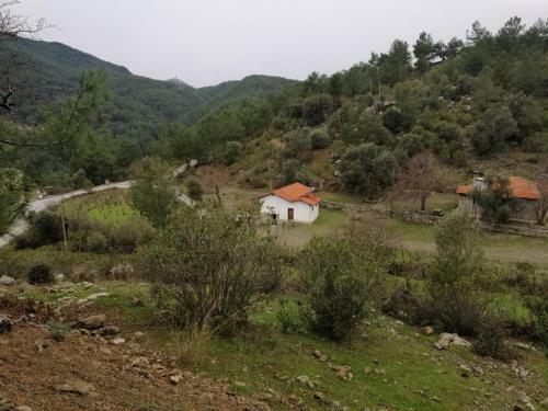 Hotel ?ztuzu Homes