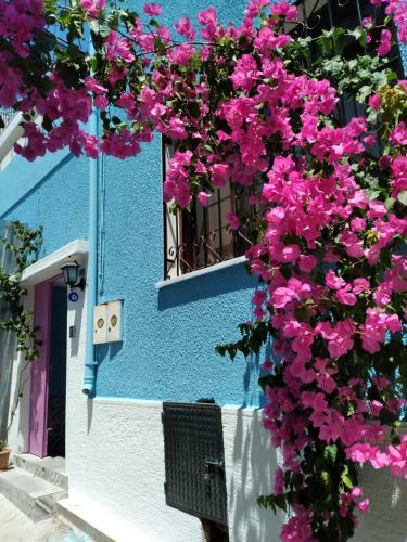 Hotel Casa Magnolia Boutique Rooms